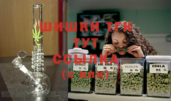 шишки Беломорск