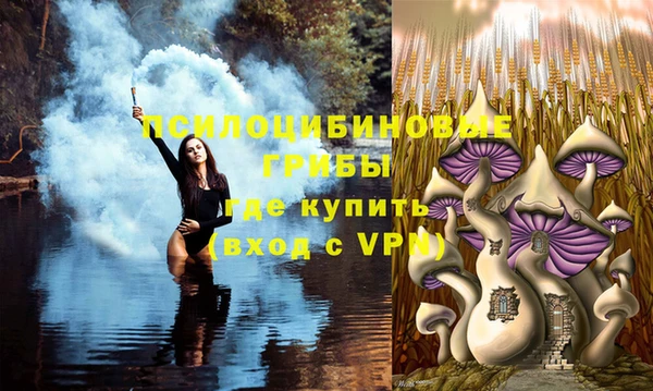шишки Беломорск