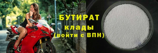 шишки Беломорск