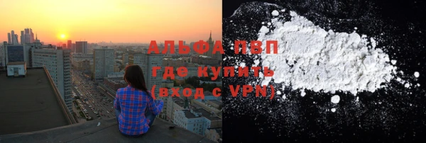 шишки Беломорск