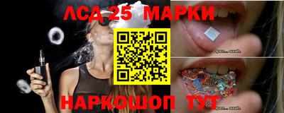 прущие грибы Гатчина