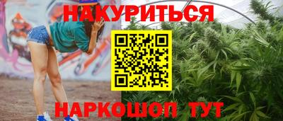 прущие грибы Гатчина
