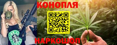 прущие грибы Гатчина