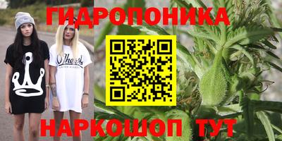 прущие грибы Гатчина