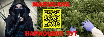 прущие грибы Гатчина