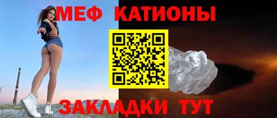 прущие грибы Гатчина